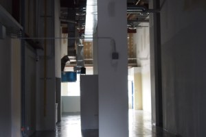 back door view of Cauldron