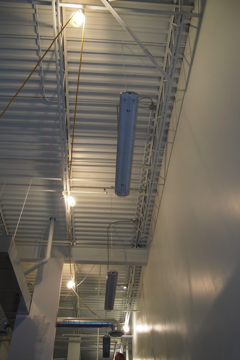 ceiling paint job completed