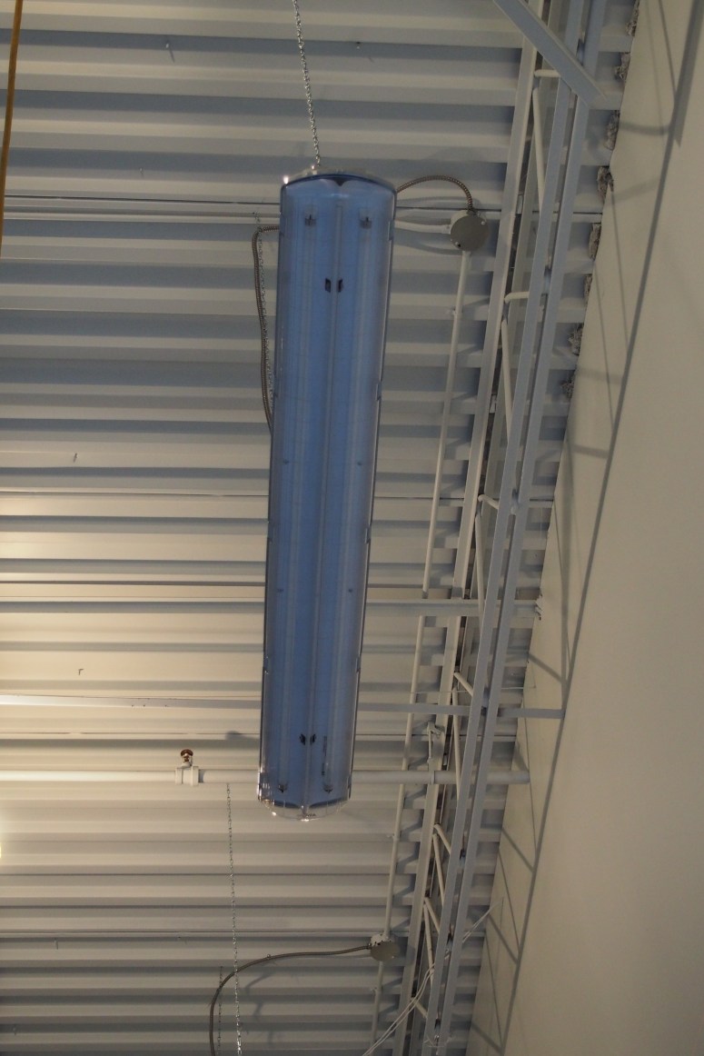 fixtures installed with the white ceiling background