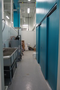 portrait picture of the dishpit with the electrical closet doors to the right and the 3 compartment sink to the left.