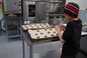 ginger snap cookies laid out on pans