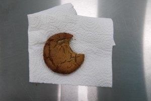 a yummy Ginger snap cookie