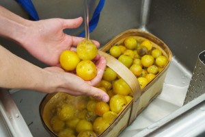 Market fresh plums for the bbq sauce.