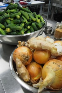 All the right produce from Rideau Pines Farm