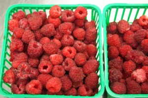 Rideau Pines Farm raspberries. So yummy.