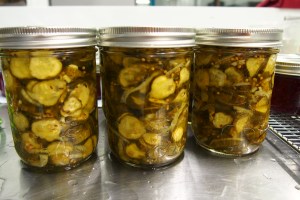 Finished product, Bread n Butter pickles.